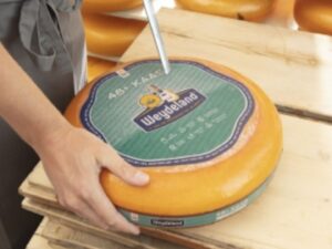 Nieuw: Oud Weydeland 48+
